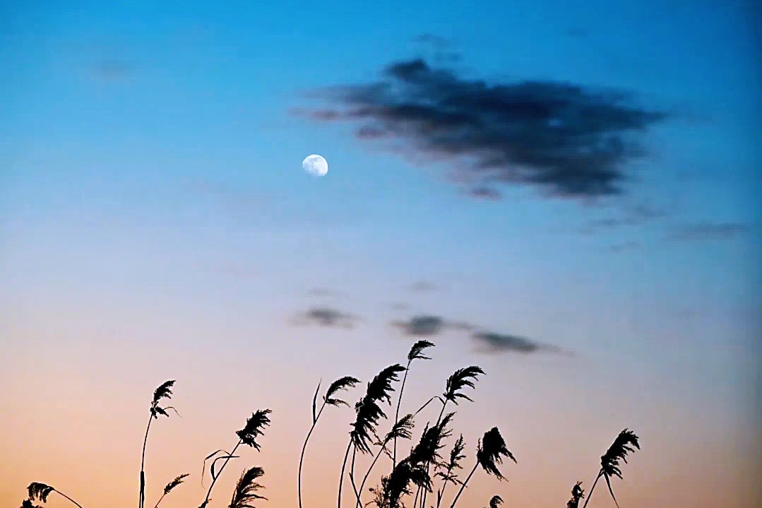 111754892942475011.jpg 15e25efa-12b8-47b3-a0fa-2403112aacf7.jpg