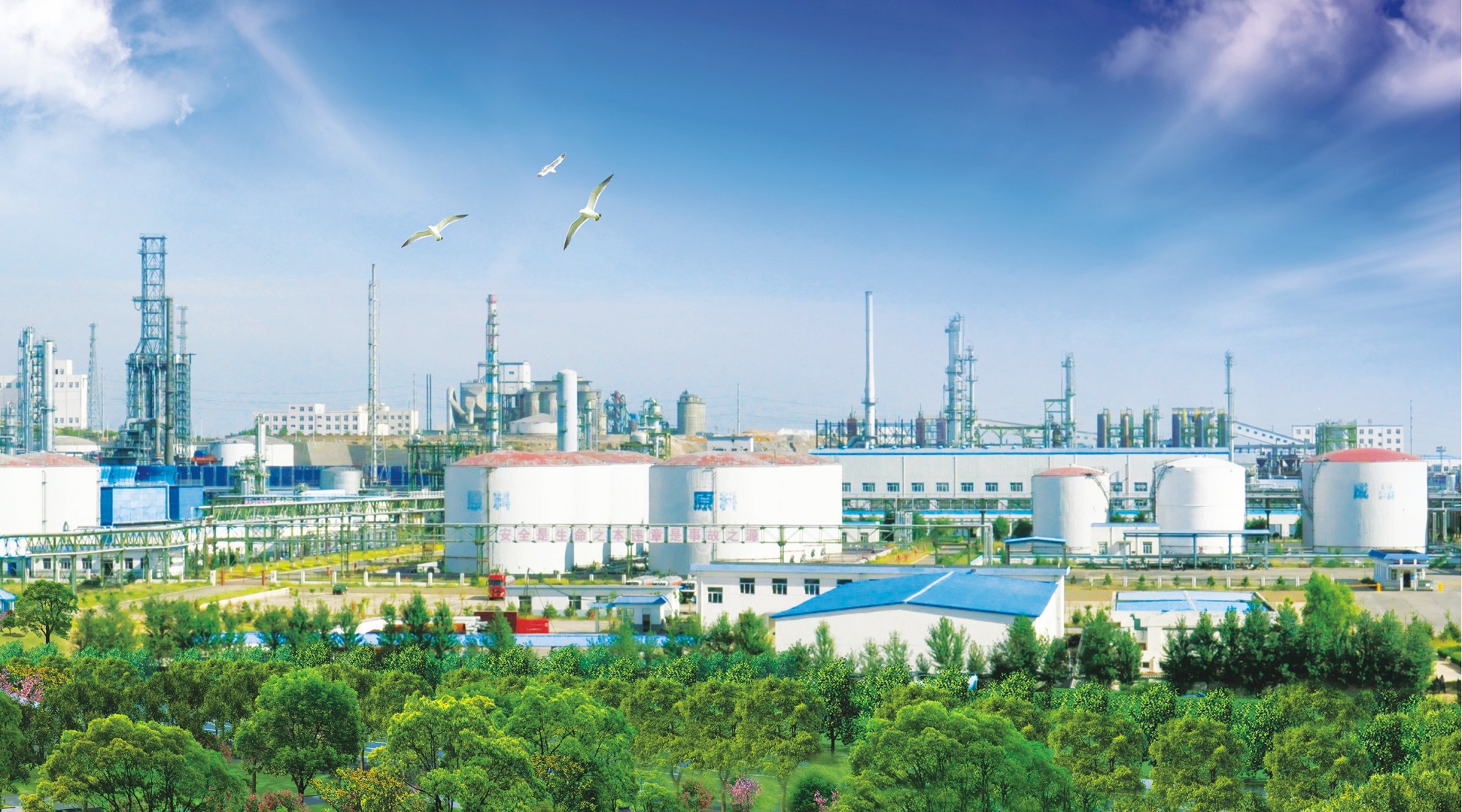 101768010430189916.jpg 廠區(qū)區(qū)域長(zhǎng)圖.jpg