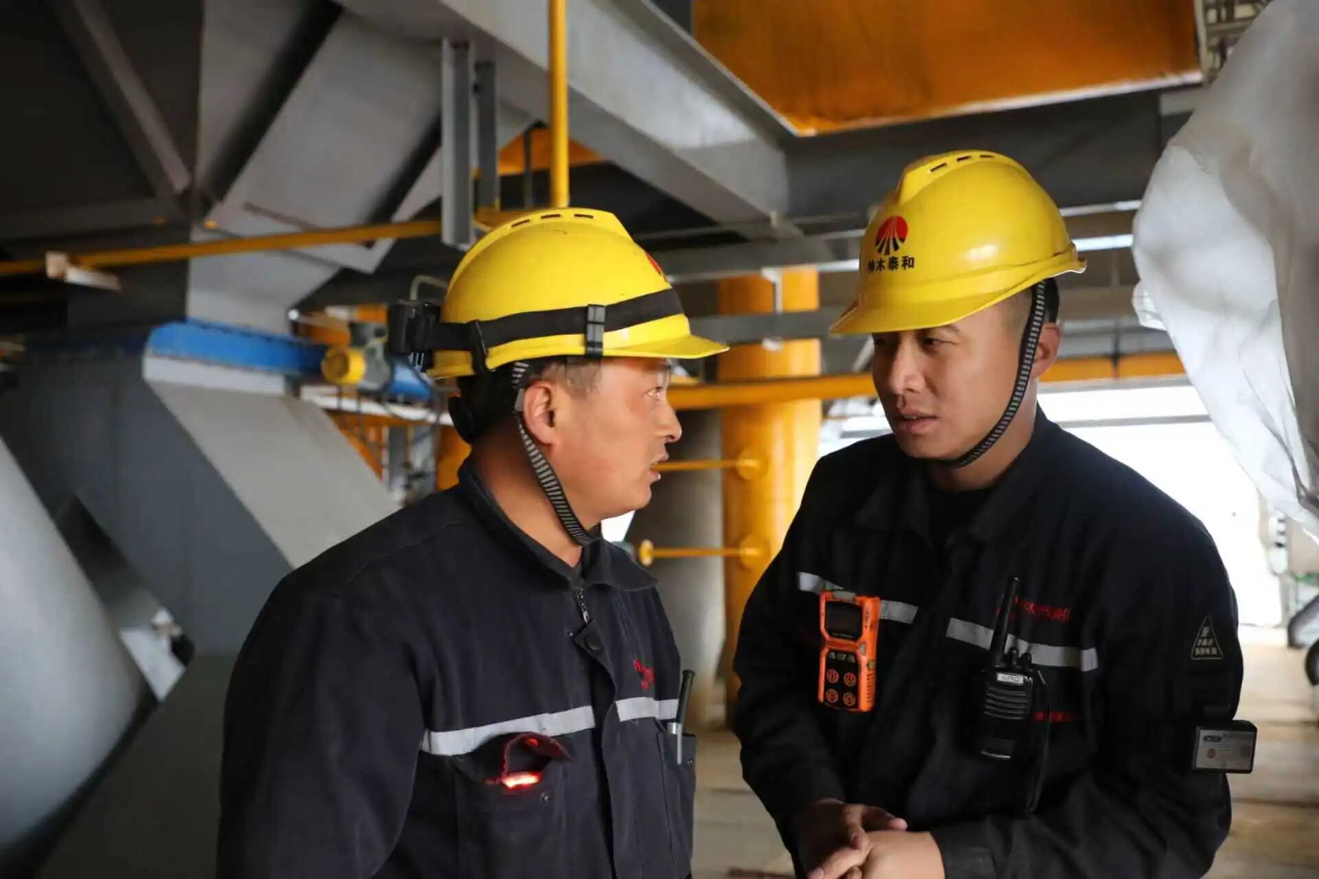 141773450810188762.jpg 微信圖片_2026-03-14_091246_409.jpg