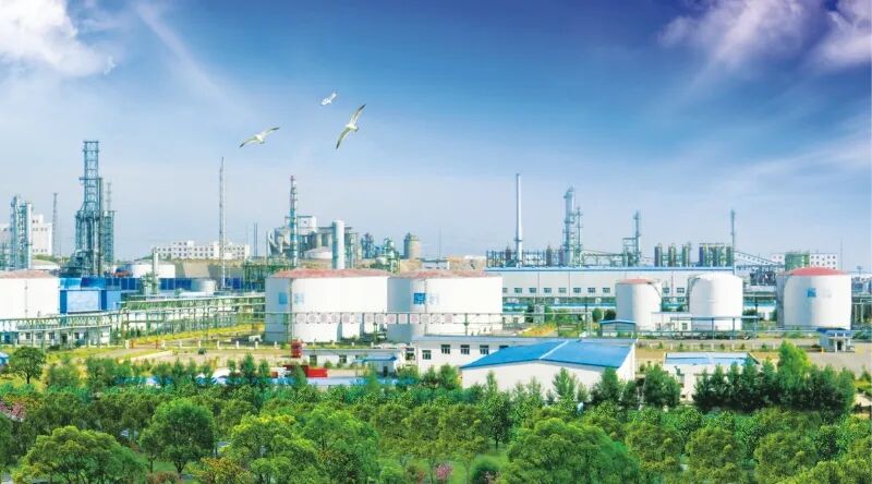 241774313950125886.jpg 640 (2).jpg