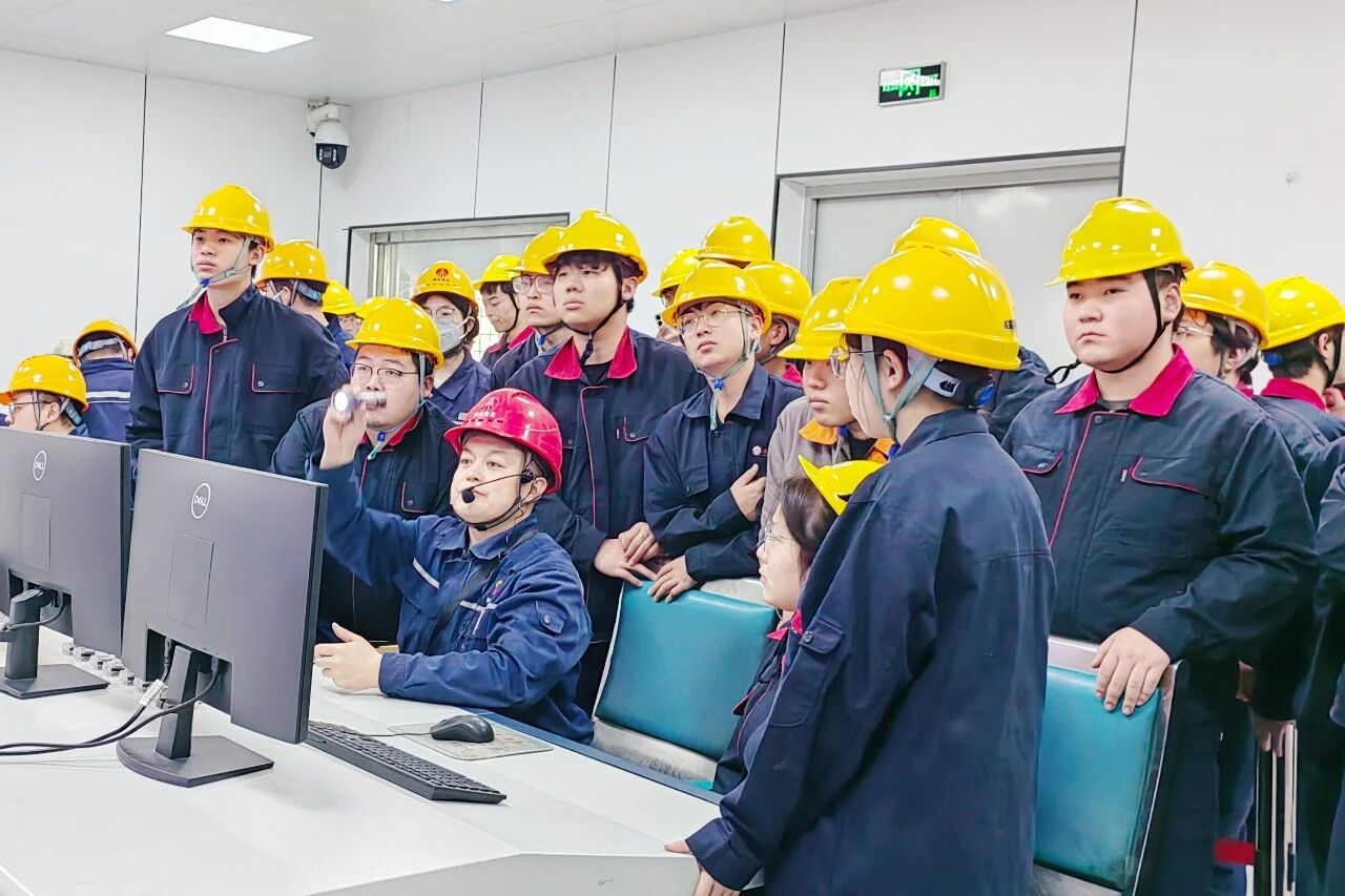 261774486800208629.jpg 4.1.jpg