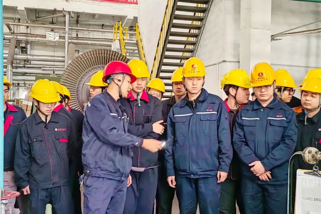 261774486820159356.jpg 4.jpg