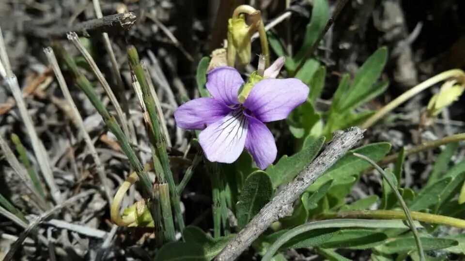 081775609622517462.jpg 微信圖片_2026-04-08_085132_731.jpg